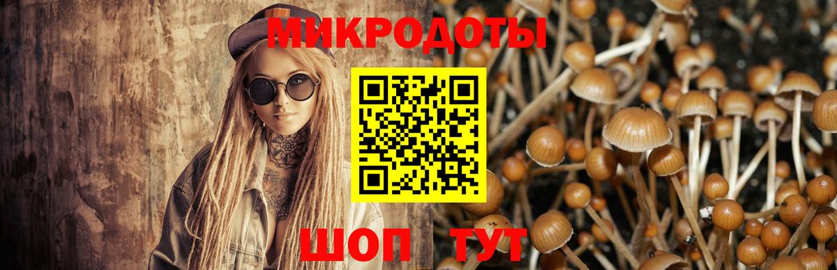 Галлюциногенные грибы Magic Shrooms Уссурийск